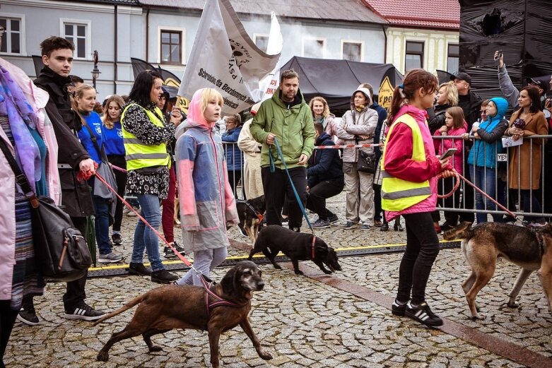  Święto kwiatów 2021: Parada (ZDJĘCIA) 