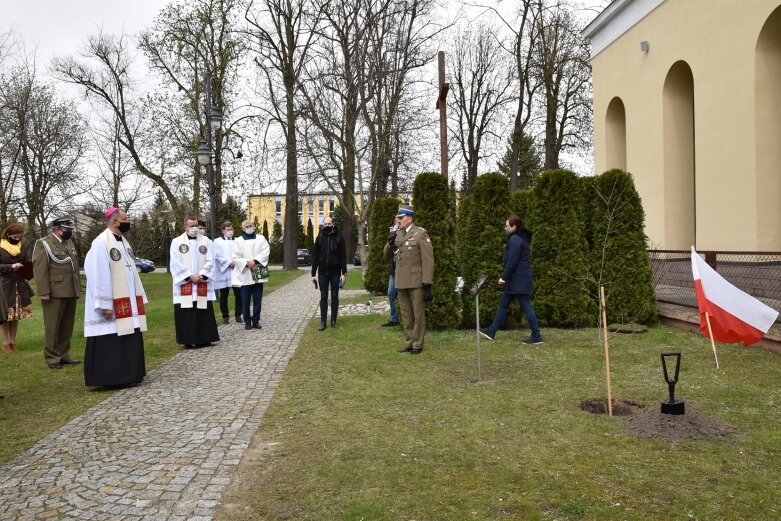  Tablica i dąb pamięci w hołdzie ks. ppłk Edwardowi Chomie 