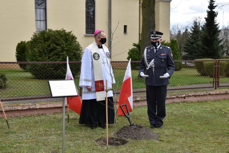  Tablica i dąb pamięci w hołdzie ks. ppłk Edwardowi Chomie 