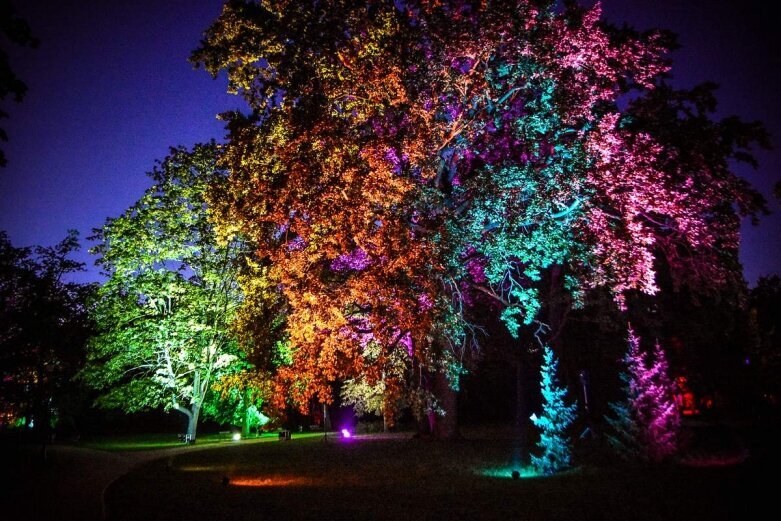  Tak wygląda nocą niesamowity park w Skierniewicach [ZDJĘCIA] 