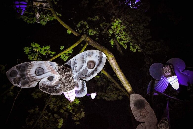  Tak wygląda nocą niesamowity park w Skierniewicach [ZDJĘCIA] 