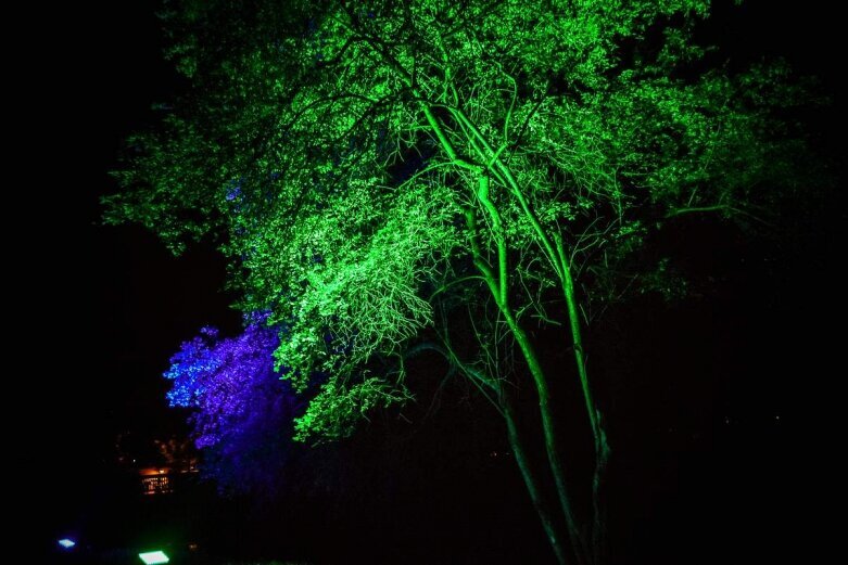  Tak wygląda nocą niesamowity park w Skierniewicach [ZDJĘCIA] 