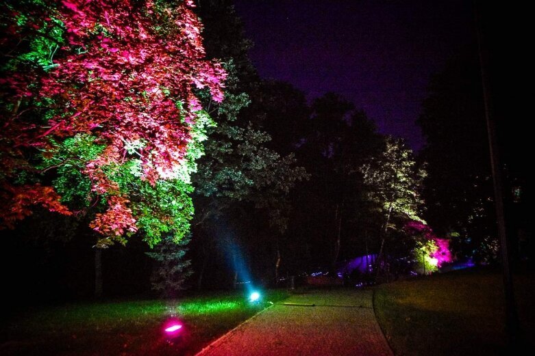  Tak wygląda nocą niesamowity park w Skierniewicach [ZDJĘCIA] 