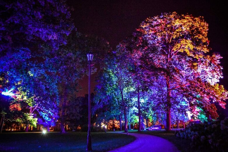  Tak wygląda nocą niesamowity park w Skierniewicach [ZDJĘCIA] 