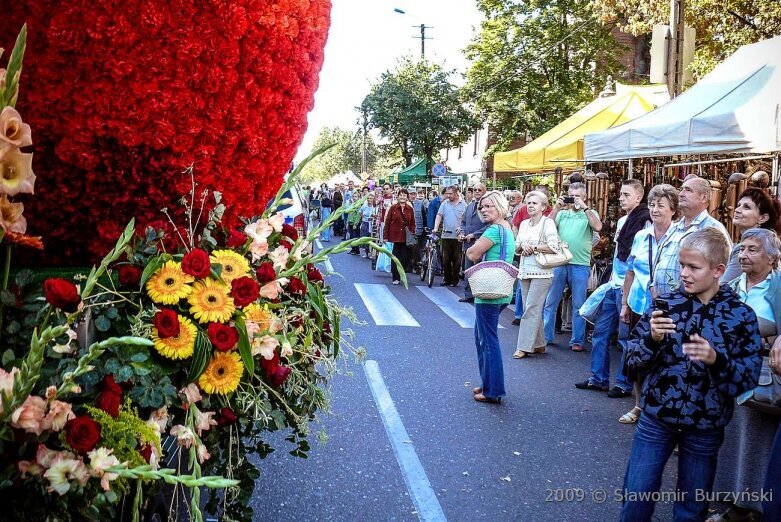  Tegoroczne święto kwiatów wisi na włosku. Zobacz, jak się bawiono w 2009 roku 