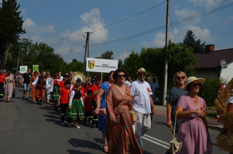  Tłumy na powiatowyh dożynkach w Godzianowie 