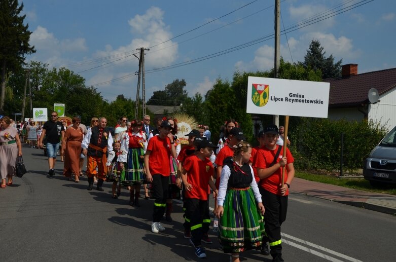  Tłumy na powiatowyh dożynkach w Godzianowie 