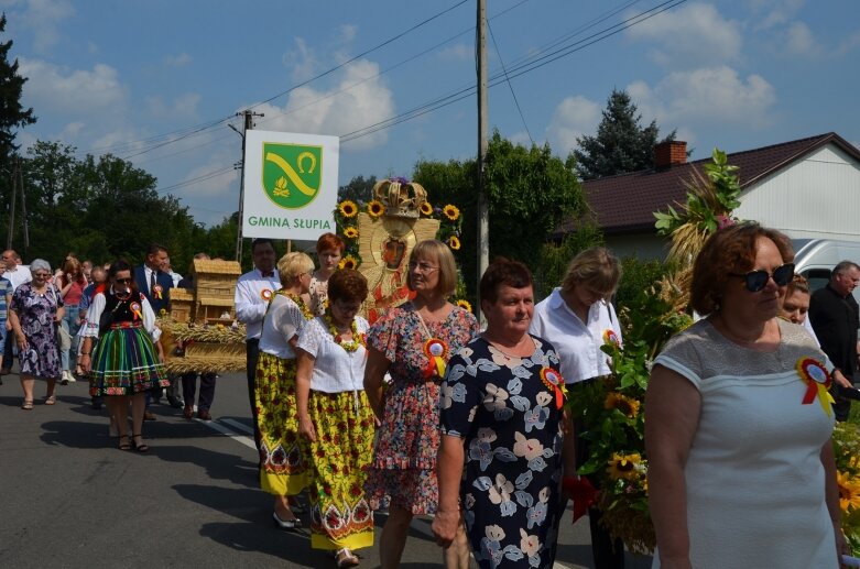  Tłumy na powiatowyh dożynkach w Godzianowie 