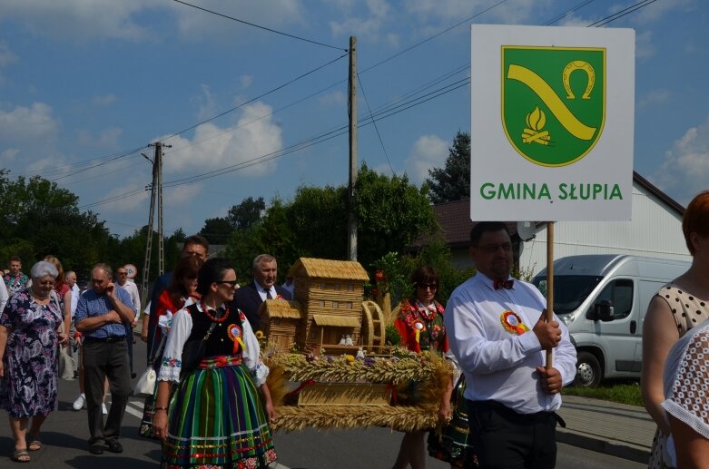  Tłumy na powiatowyh dożynkach w Godzianowie 