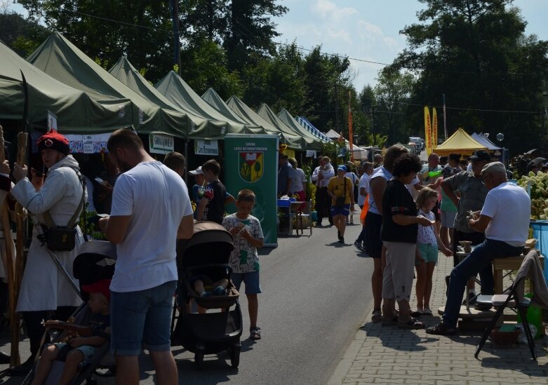  Tłumy na powiatowyh dożynkach w Godzianowie 