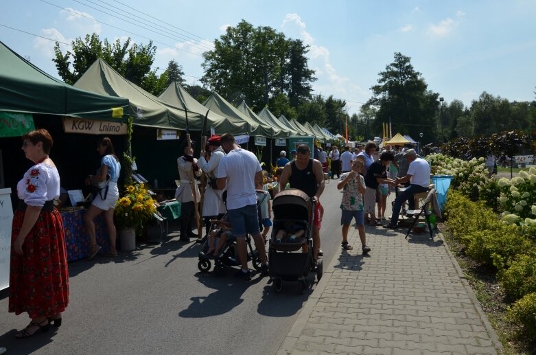  Tłumy na powiatowyh dożynkach w Godzianowie 