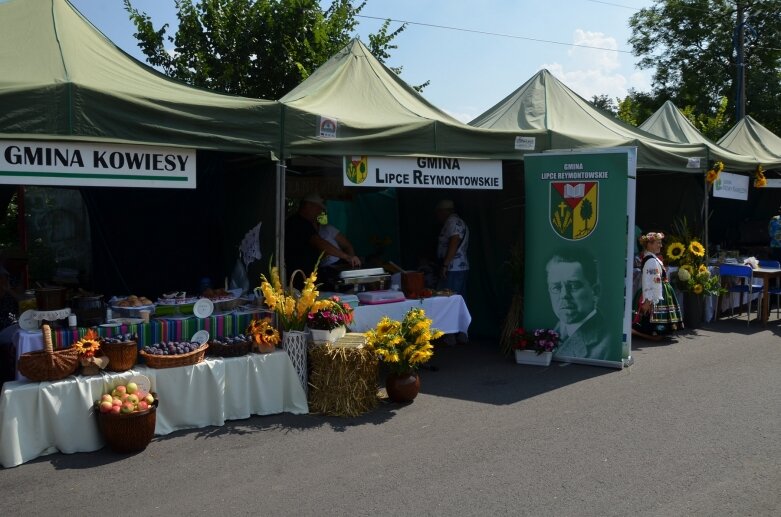  Tłumy na powiatowyh dożynkach w Godzianowie 