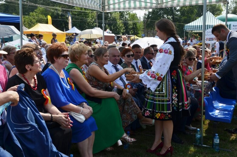  Tłumy na powiatowyh dożynkach w Godzianowie 