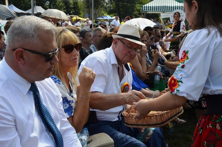  Tłumy na powiatowyh dożynkach w Godzianowie 