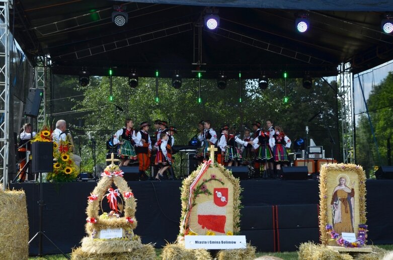  Tłumy na powiatowyh dożynkach w Godzianowie 