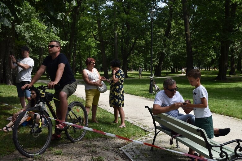  Tym razem w parku było klasycznie, romantycznie… 