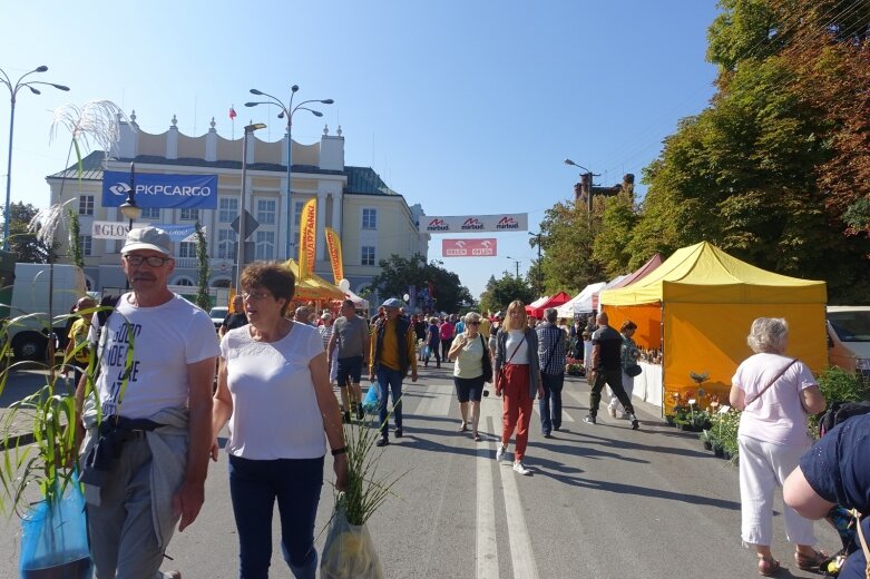  Ulice Skierniewic tętniły świątecznym życiem  