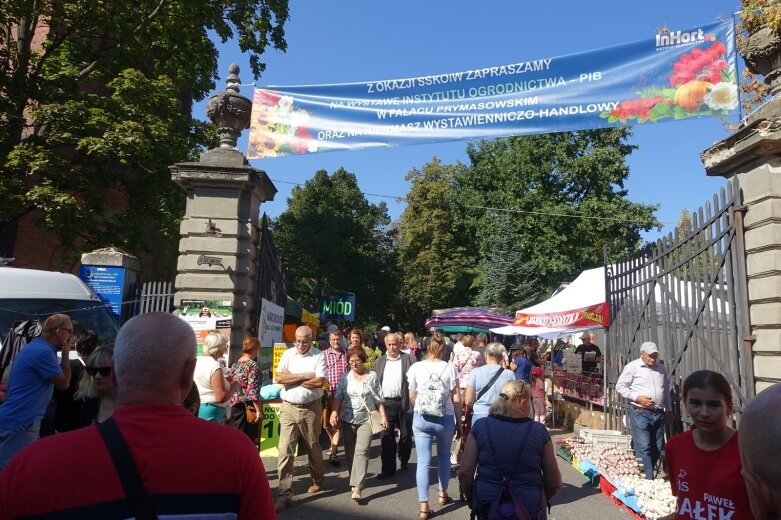  Ulice Skierniewic tętniły świątecznym życiem  