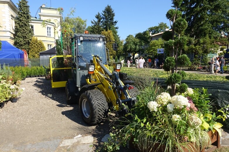  Ulice Skierniewic tętniły świątecznym życiem  