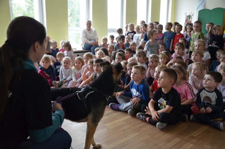  W Przedszkolu numer 1 w Skierniewicach pojawił się niecodzienny gość  