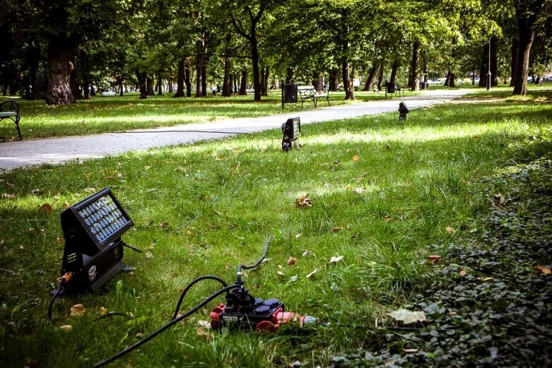  Ważki i latające meduzy w skierniewickim parku 