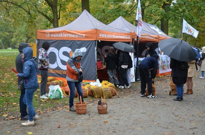  Wielki finał PozbierajMy – mieszkańcy Skierniewic zebrali kasztany dla dzieci 