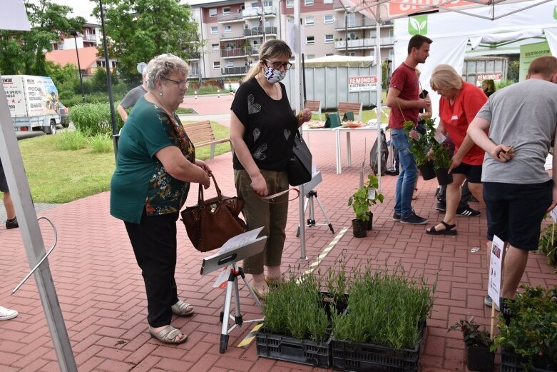  Wymieniali elektrośmieci na rośliny 