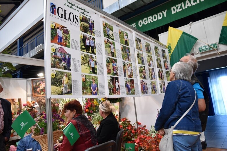  Wystawy. Cieszyły oczy gości 