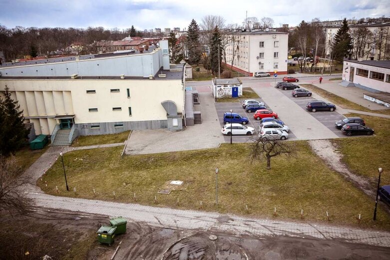  Wytną jabłonie przy centrum kultury w Skierniewicach 