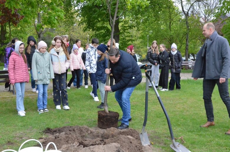  Z okazji Dnia Ziemi posadzono lipę na jednym ze skierniewickich skwerów 