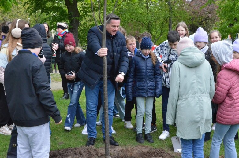  Z okazji Dnia Ziemi posadzono lipę na jednym ze skierniewickich skwerów 