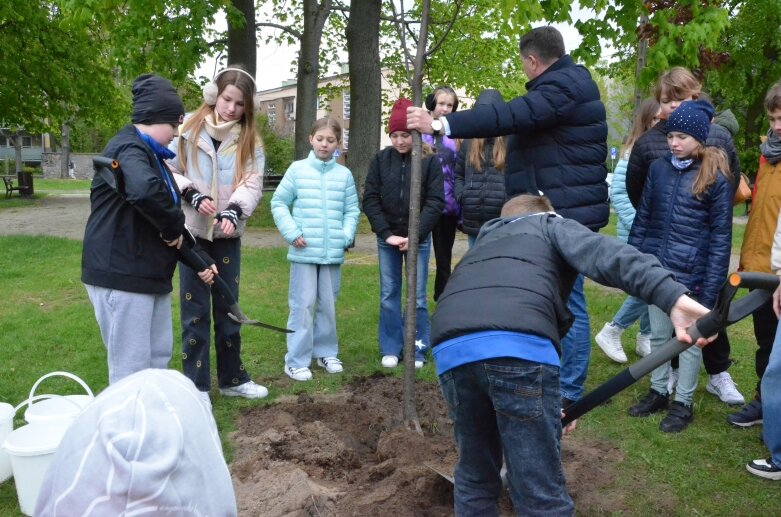  Z okazji Dnia Ziemi posadzono lipę na jednym ze skierniewickich skwerów 