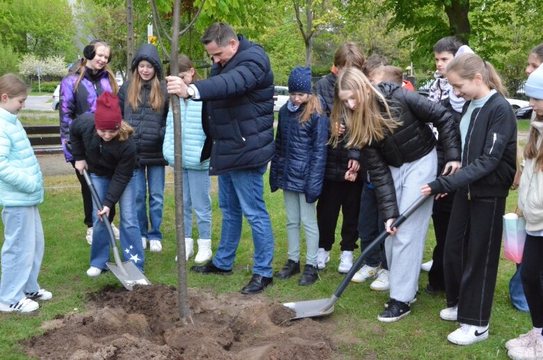  Z okazji Dnia Ziemi posadzono lipę na jednym ze skierniewickich skwerów 