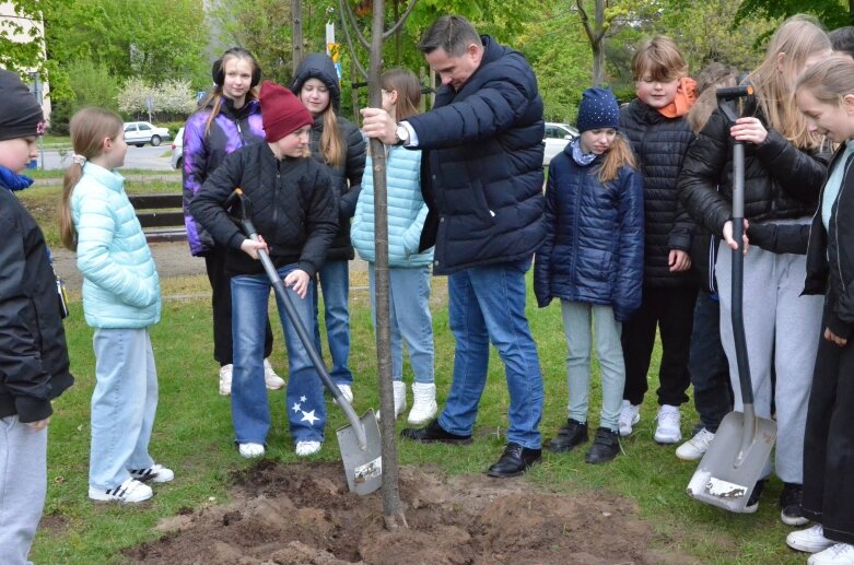  Z okazji Dnia Ziemi posadzono lipę na jednym ze skierniewickich skwerów 