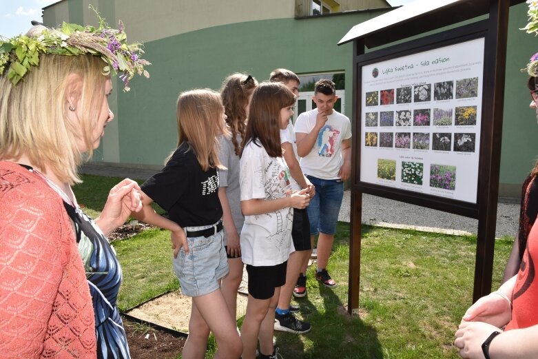  Zielona pracownia już niemal gotowa! 