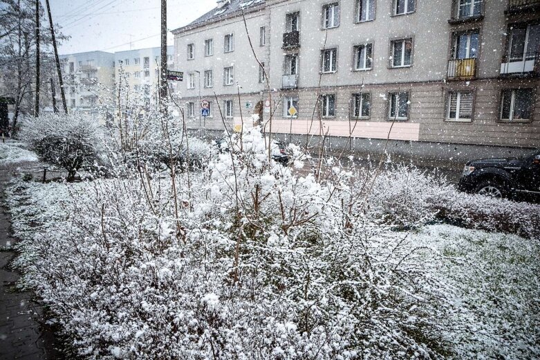  Zima przypomniała sobie o Skierniewicach [ZDJĘCIA] 