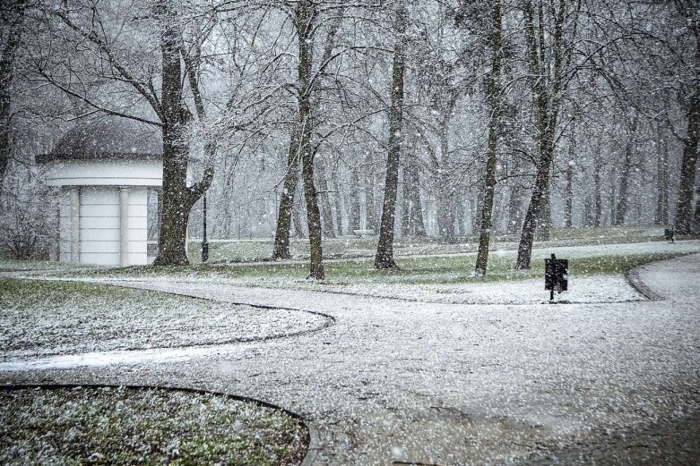  Zima przypomniała sobie o Skierniewicach [ZDJĘCIA] 