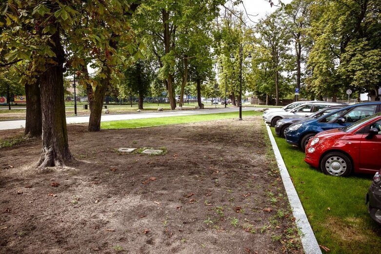  Zobacz jak wygląda trawiasty parking przy Rawskiej 