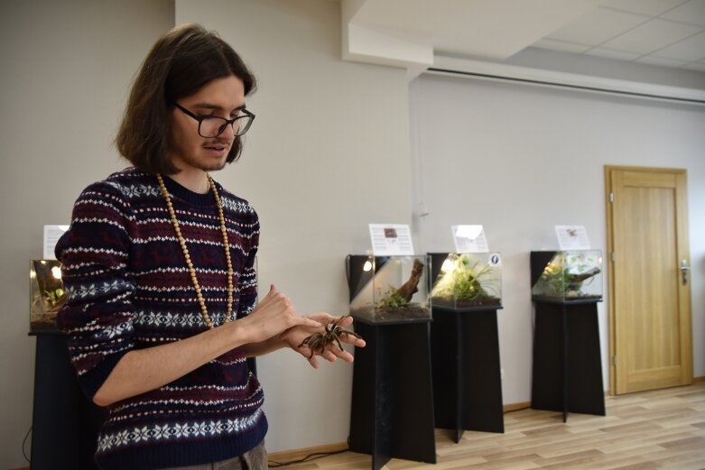  Żywe pająki i skorpiony w centrum kultury 