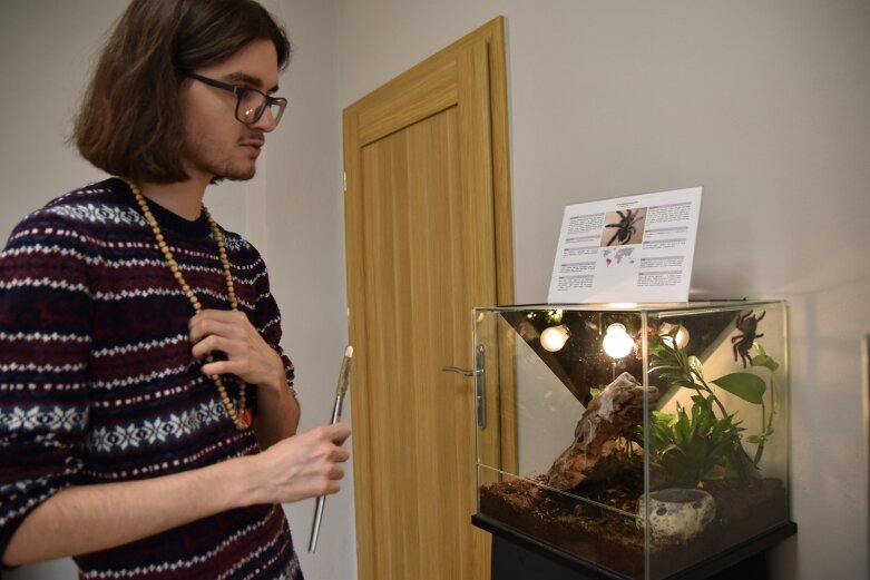  Żywe pająki i skorpiony w centrum kultury 