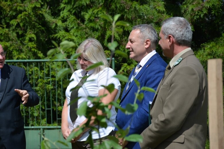  Owocowy sad powstał na terenie nadleśnictwa 