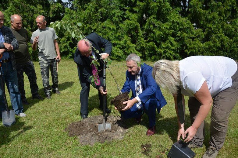  Owocowy sad powstał na terenie nadleśnictwa 