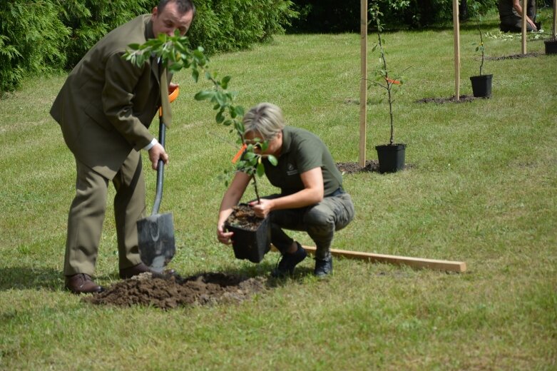  Owocowy sad powstał na terenie nadleśnictwa 