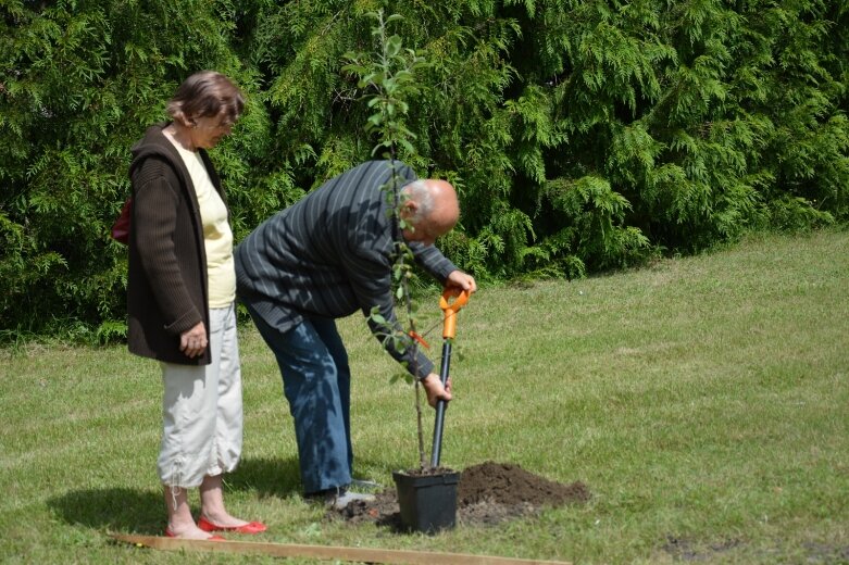  Owocowy sad powstał na terenie nadleśnictwa 