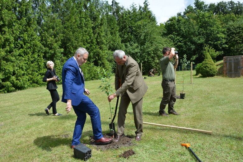  Owocowy sad powstał na terenie nadleśnictwa 