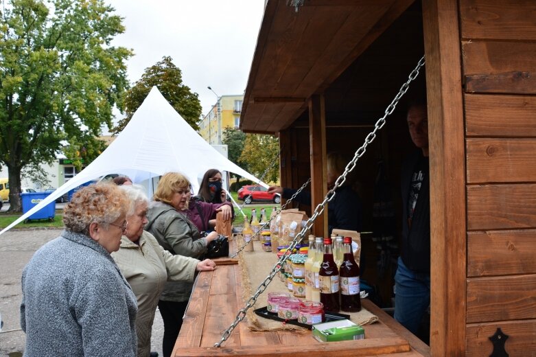  Mimo kiepskiej pogody roślinożercy dopisali 