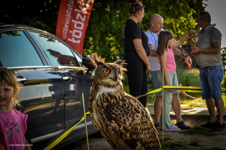  Piknik wojewódzki w Głuchowie. Bawiła się cała gmina 