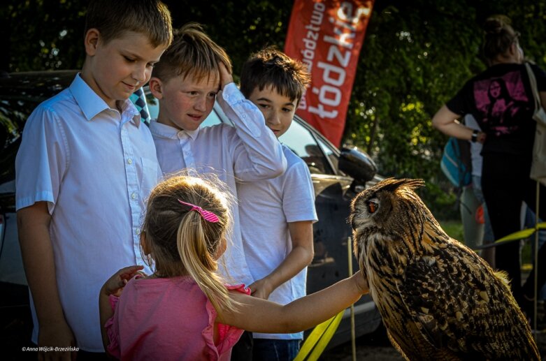  Piknik wojewódzki w Głuchowie. Bawiła się cała gmina 