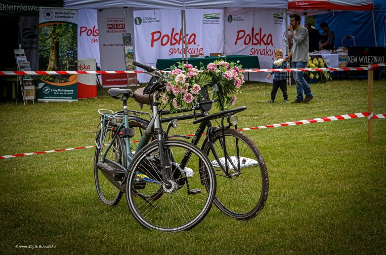  Turniej sołectw w gminie Skierniewice. Deszcz, śmiech do łez i fantastyczna zabawa! 