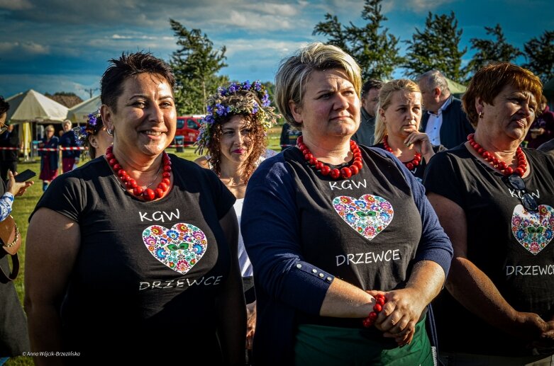  Bitwa regionów w powiecie skierniewickim. Panie z Lnisna uwiodły...podniebienia jury 